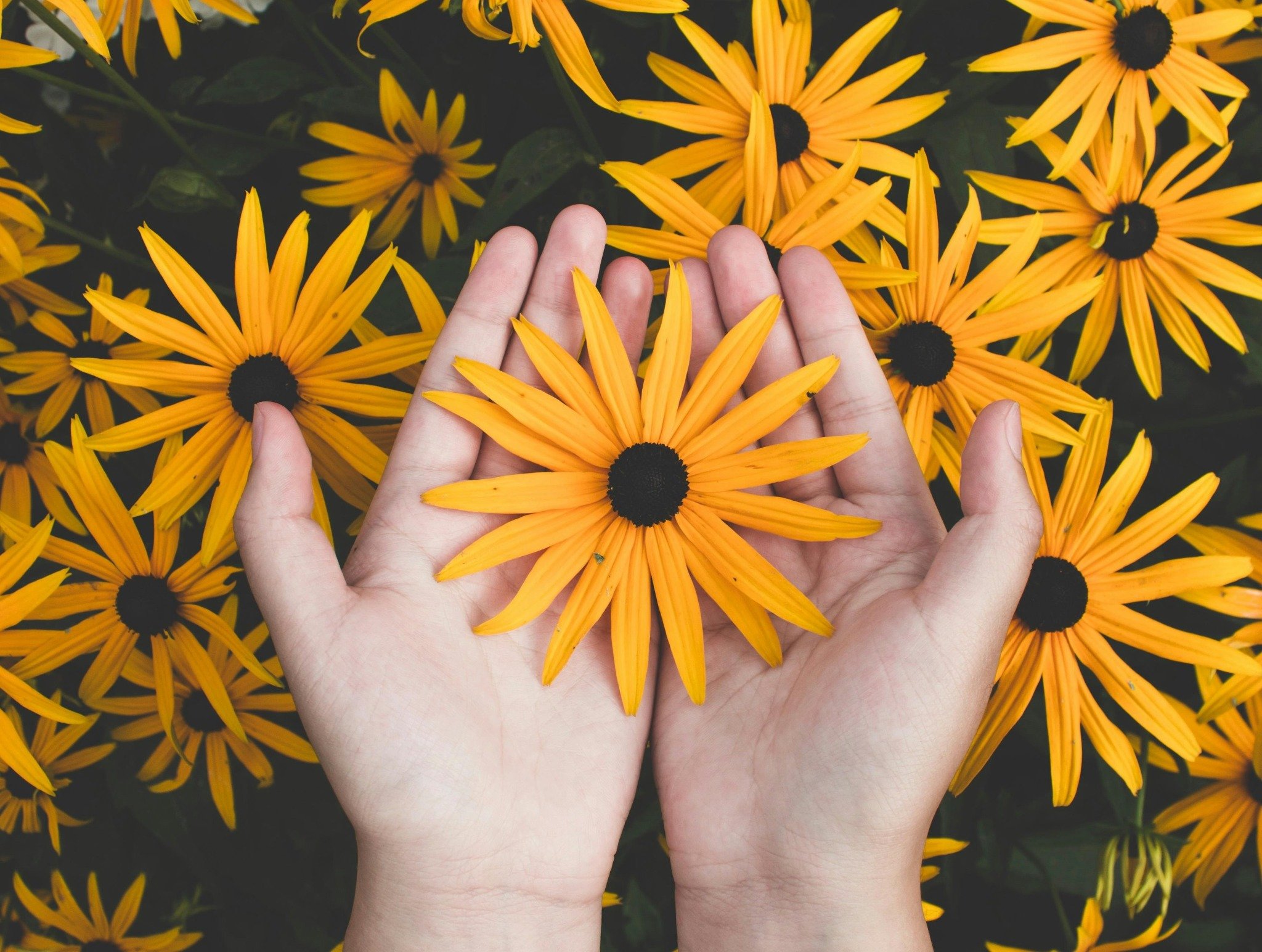 Persone che si sostengono reciprocamente